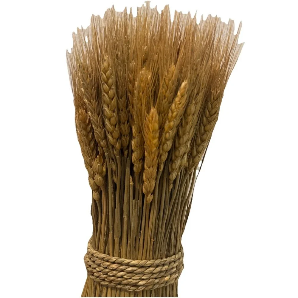 Unbranded image shows
